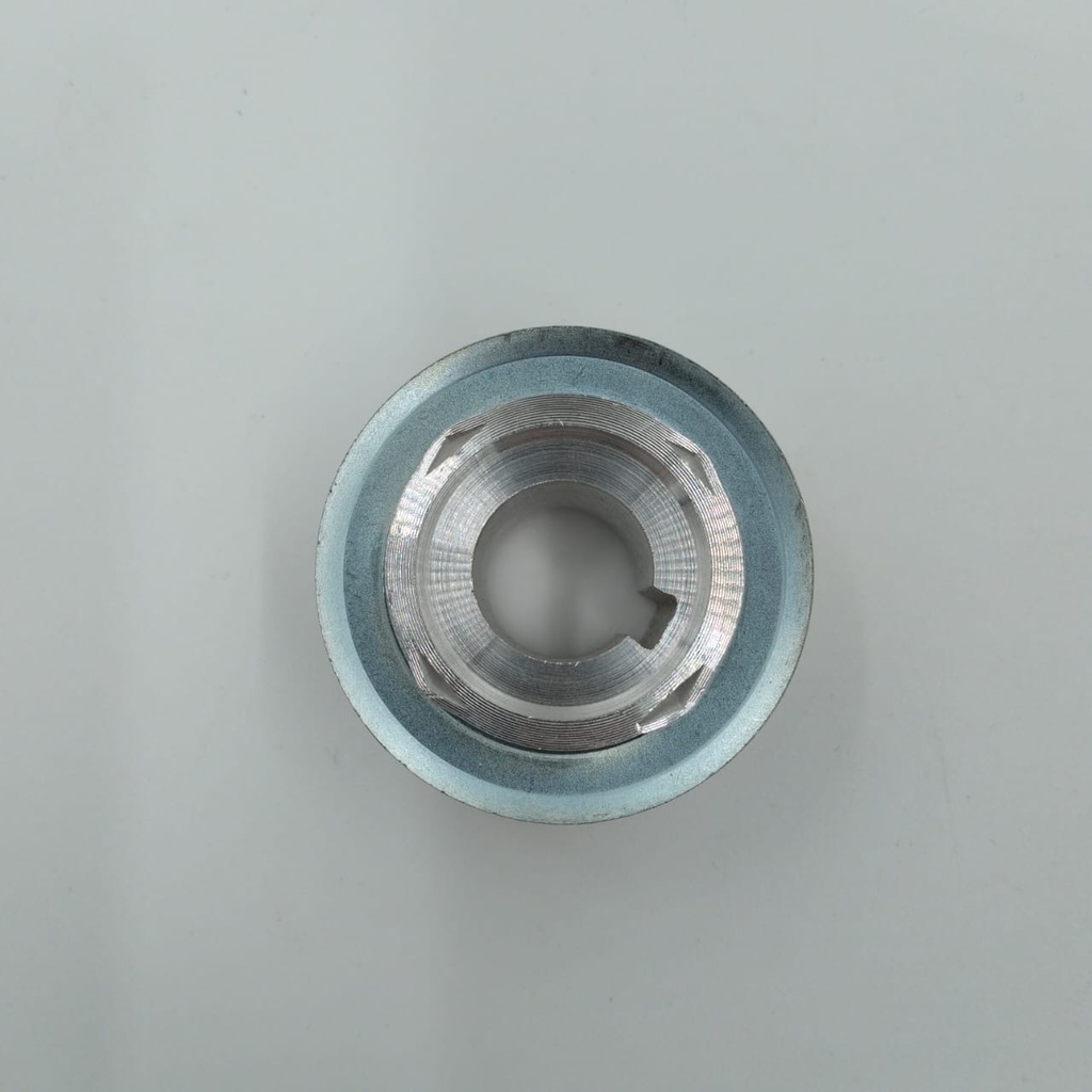 PIÑON MOTOR ( CHABU-ERRAZU )