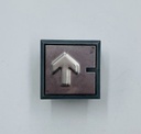 PLACA + PULSADOR THYSSEN MODULO MSPS LED ROJO